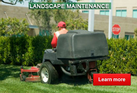 Advance Landscape Maintenance, LLC